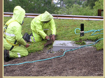 Green Roof