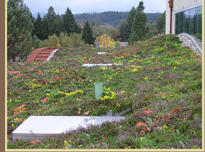 Green Roofs